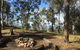 Scenic Rim Adventure Park - thumb 1