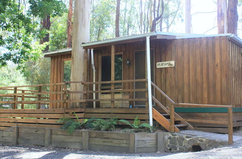Tarra Valley Caravan Park - Accommodation Burleigh 1