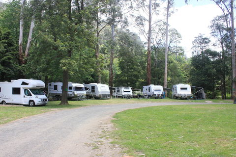 Tarra Valley Caravan Park - Accommodation Burleigh 2
