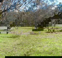 Tin Mines campground - Accommodation Burleigh