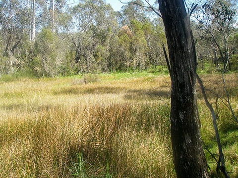 Tin Mines Campground - Accommodation Burleigh 1