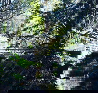 Aldgate Valley Bed and Breakfast - Accommodation Burleigh