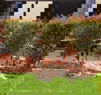 Alpha Canberra Hotel - Accommodation Burleigh