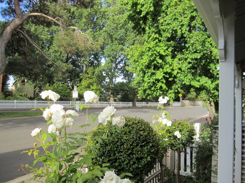 Arendon Cottage - Accommodation Burleigh 1