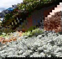 Kangaroos in the Top Paddock - Accommodation Burleigh