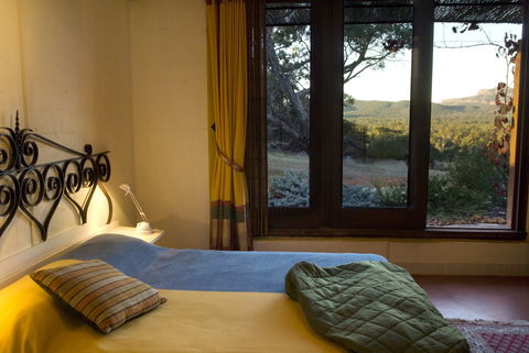 Kangaroos In The Top Paddock - Accommodation Burleigh 1