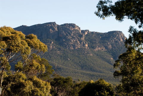 Kangaroos In The Top Paddock - Accommodation Burleigh 2