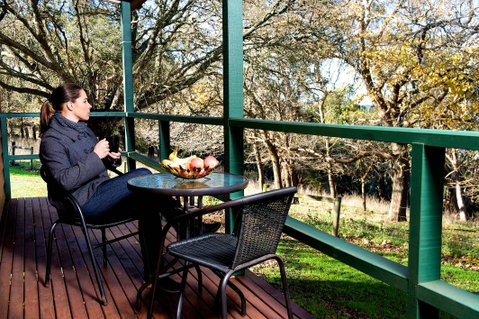 Lakes And Craters Holiday Park - Accommodation Burleigh 1