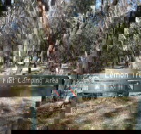 Lemon Tree Flat campground - Accommodation Burleigh