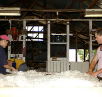 Pelican Sheep Station - Accommodation Burleigh