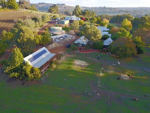 Sunnyhurst Chalets Farmstay - Accommodation Burleigh 0