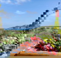 The Star  Port Willunga - Accommodation Burleigh