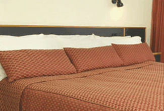 Margarets Forest Holiday Apartments - Accommodation Burleigh