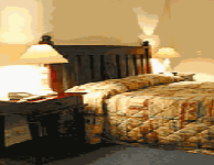 Comfort Inn Treetop Walk - Accommodation Burleigh