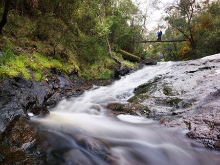 Karri Valley Resort - Accommodation Burleigh 2