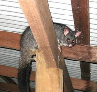 Warren River Resort - Accommodation Burleigh