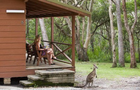 Hungry Head Cabins - Accommodation Burleigh 1