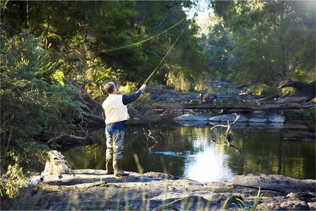 Stonebarn - Accommodation Burleigh 2