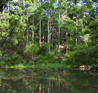 Peppermint Grove Retreat - Accommodation Burleigh