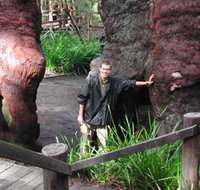 Walpole Lodge - Accommodation Burleigh