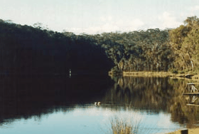 Rest Point Holiday Village - Accommodation Burleigh 1