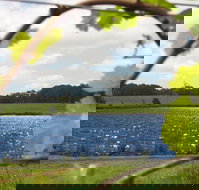 Bettenays Lakeside Loft Apartment and Vineyard Chalets - Accommodation Burleigh