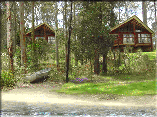 Bewong River Retreat - Accommodation Burleigh 4