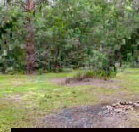 Blue Gum Flat campground - Accommodation Burleigh