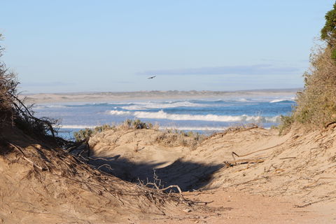 Chadinga Conservation Park Campground - Accommodation Burleigh 0