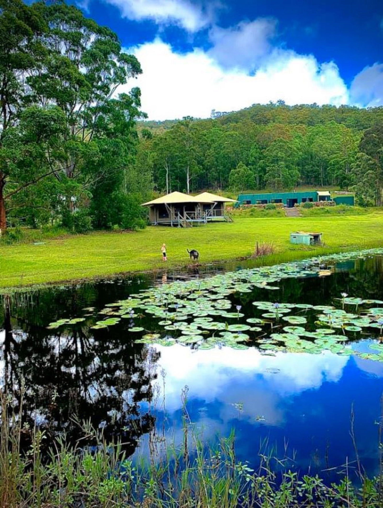 Warranulla NSW Accommodation Burleigh