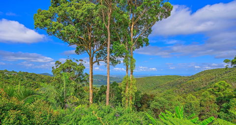 Cloud 9 Cliff Top Eagle Heights - Accommodation Burleigh 1