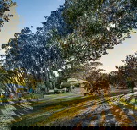 Delicate campground - Accommodation Burleigh