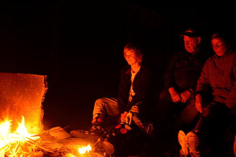 Diamond Forest Farm Stay - Accommodation Burleigh 1