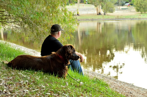 Diamond Forest Farm Stay - Accommodation Burleigh 2