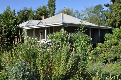 Honeysuckle Cottage - Accommodation Burleigh 0