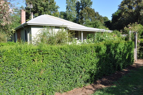 Honeysuckle Cottage - Accommodation Burleigh 1