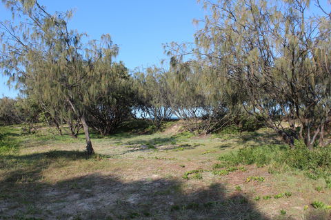 K'gari (Fraser Island) Camping, Great Sandy National Park - Accommodation Burleigh 1