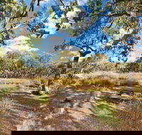 Kings Plains Creek campground - Accommodation Burleigh