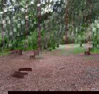 Murphys Glen campground - Accommodation Burleigh