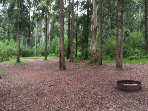 Murphys Glen Campground - Accommodation Burleigh 0
