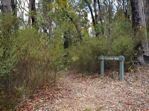 Murphys Glen Campground - Accommodation Burleigh 2