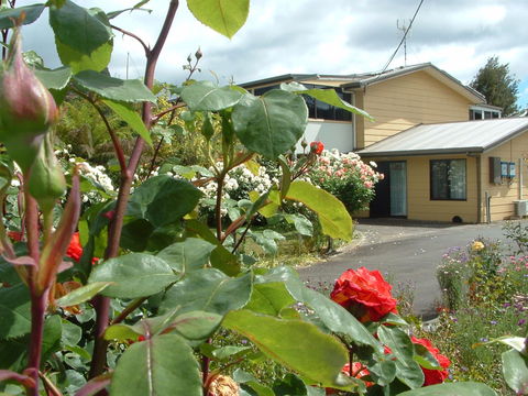 North East Restawhile Bed And Breakfast - Accommodation Burleigh 1