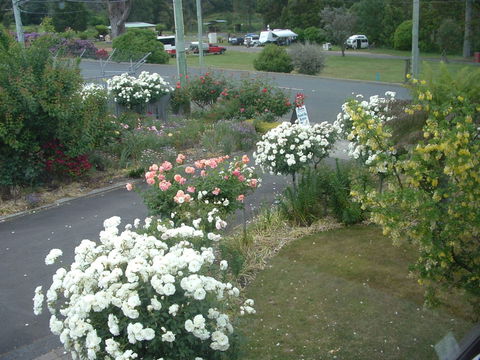 North East Restawhile Bed And Breakfast - Accommodation Burleigh 2