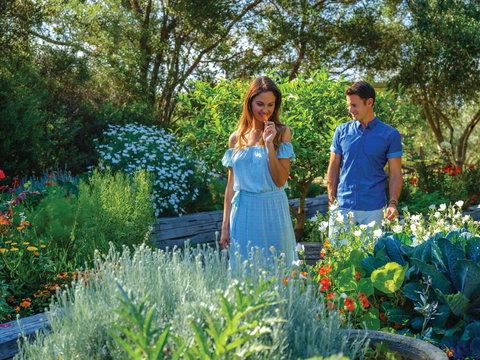 Olio Bello Lakeside Glamping - Accommodation Burleigh 1