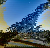 Tin Dragon Trail Cottages - Accommodation Burleigh