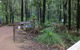 Tonys Bend Campground At Lane Poole Reserve - thumb 0
