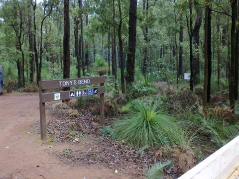 Tonys Bend Campground At Lane Poole Reserve - Accommodation Burleigh 0