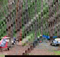 Wallingat River campground - Accommodation Burleigh