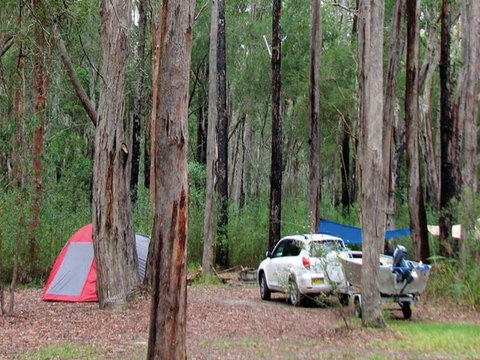 Wallingat River Campground - Accommodation Burleigh 0