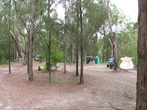 Wallingat River Campground - Accommodation Burleigh 1